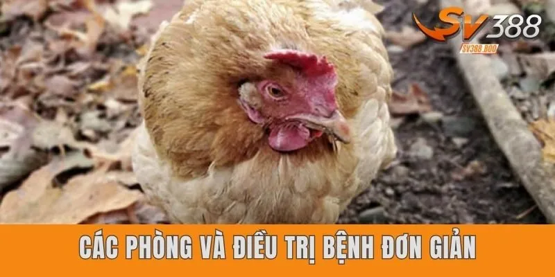 Cách phòng và điều trị bệnh đơn giản