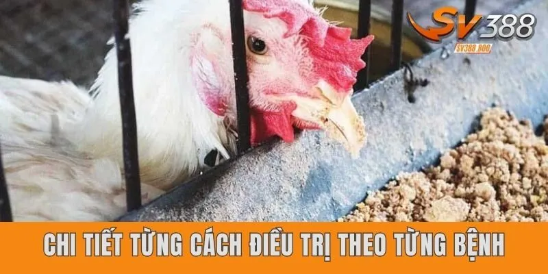 Chi tiết từng cách điều trị theo từng bệnh