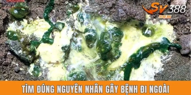 Tìm đúng nguyên nhân gây bệnh đi ngoài