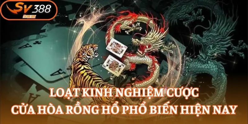 Loạt kinh nghiệm cược cửa hòa Rồng Hổ phổ biến hiện nay