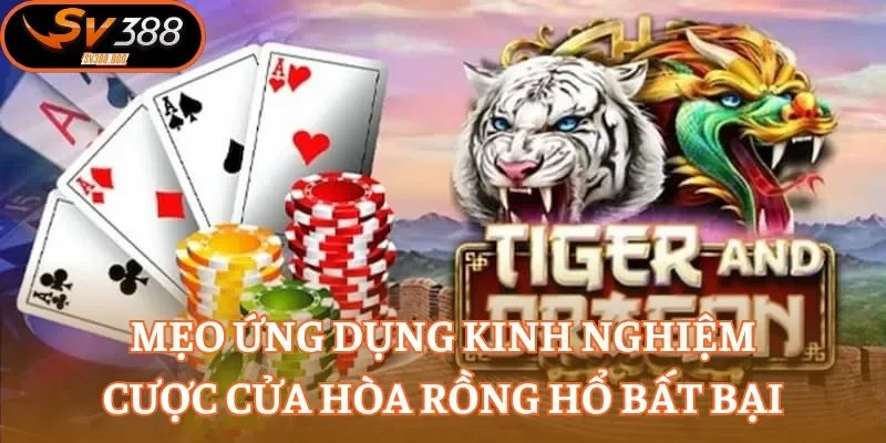 Mẹo ứng dụng kinh nghiệm cược cửa hòa Rồng Hổ bất bại
